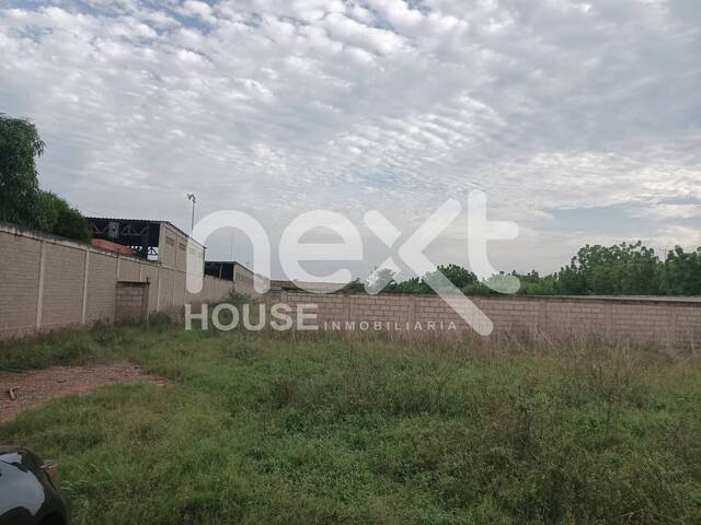 TERRENO para Venta en Santa Rita - 3