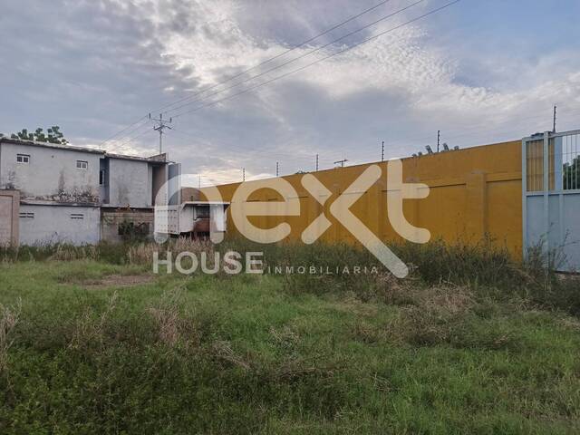 TERRENO para Venta en Santa Rita - 4
