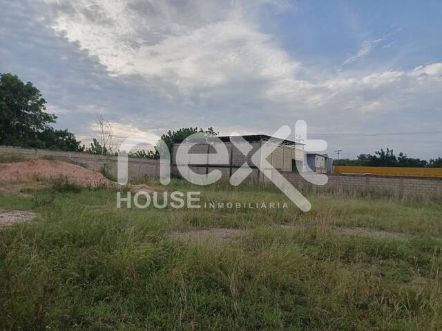 TERRENO para Venta en Santa Rita - 5