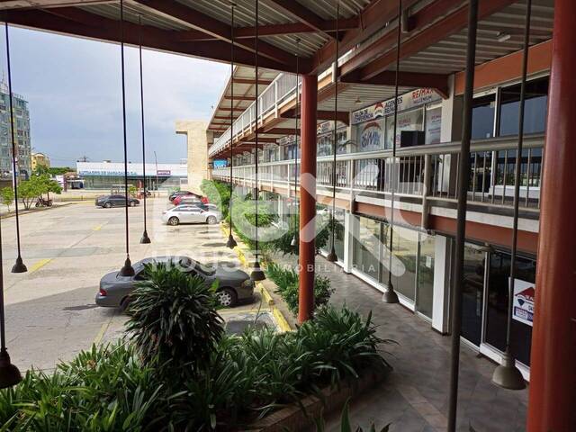 LOCAL COMERCIAL para Alquiler en Maracaibo - 5