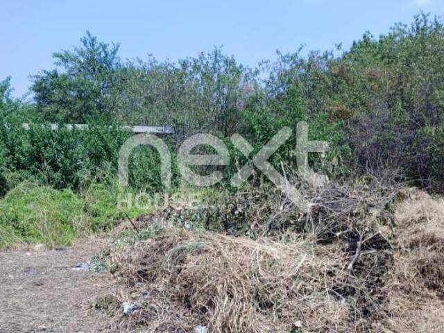 TERRENO para Venta en Ciudad Ojeda - 4