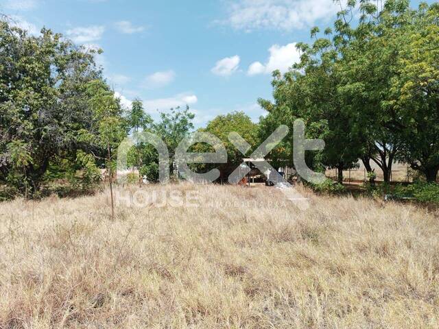 #3831 - TERRENO para Venta en San Francisco - V