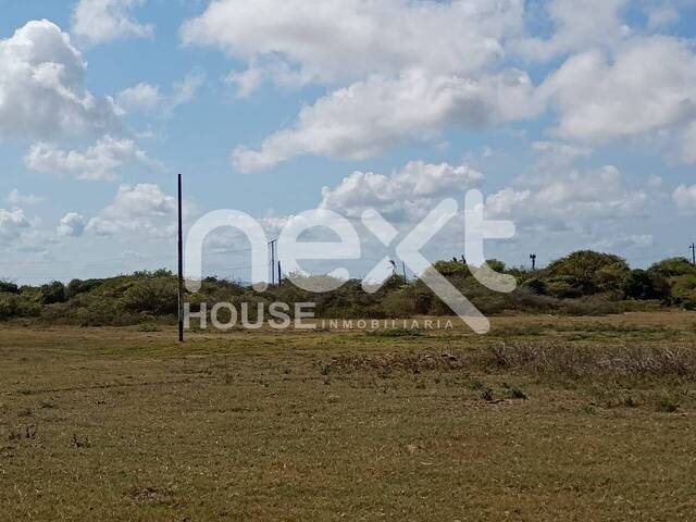 Venta en Chichiriviche - Falcón