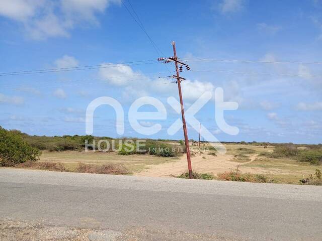 TERRENO para Venta en Falcón - 2