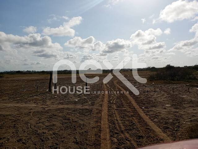 TERRENO para Venta en Falcón - 3