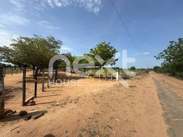 GRANJA / FINCA para Venta en San Francisco - 4
