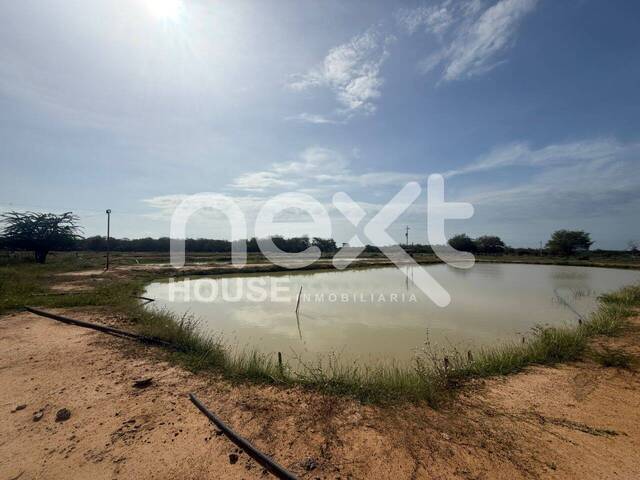 #3926 - GRANJA / FINCA para Venta en San Francisco - V
