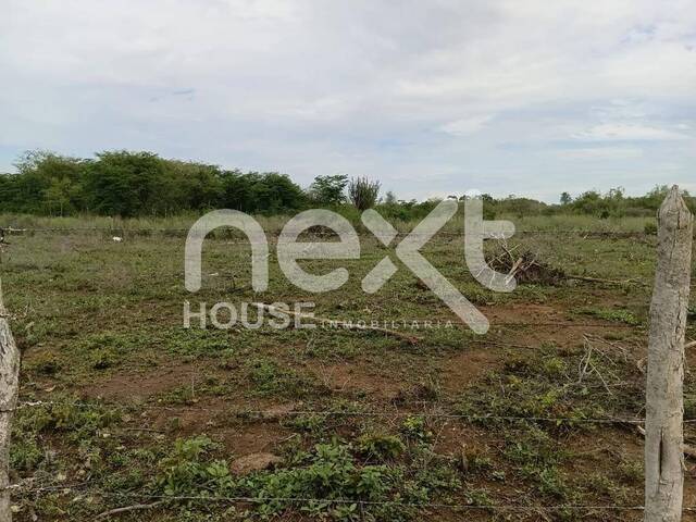 #4325 - TERRENO para Venta en Ciudad Ojeda - V