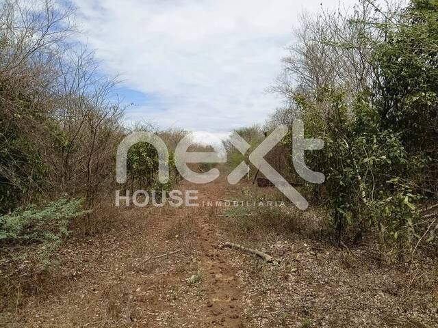 #4325 - TERRENO para Venta en Ciudad Ojeda - V