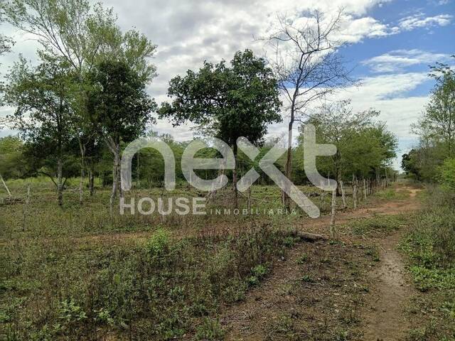 #4325 - TERRENO para Venta en Ciudad Ojeda - V
