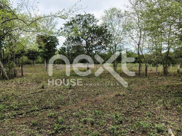 TERRENO para Venta en Ciudad Ojeda - 5