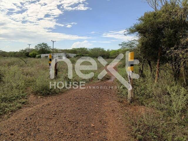 #4355 - TERRENO para Venta en Ciudad Ojeda - V