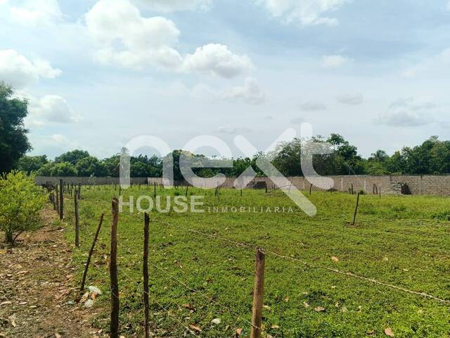 TERRENO para Venta en Maracaibo - 4