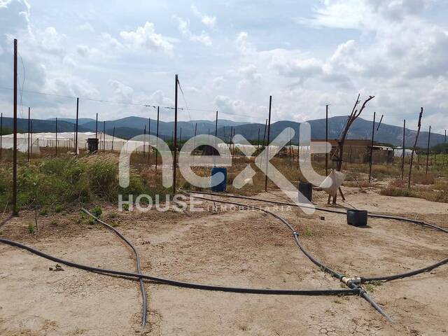 #4838 - GRANJA / FINCA para Venta en Barquisimeto - K