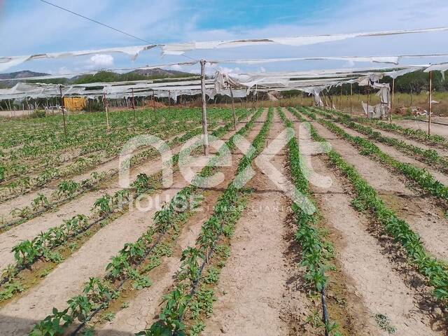 #4838 - GRANJA / FINCA para Venta en Barquisimeto - K