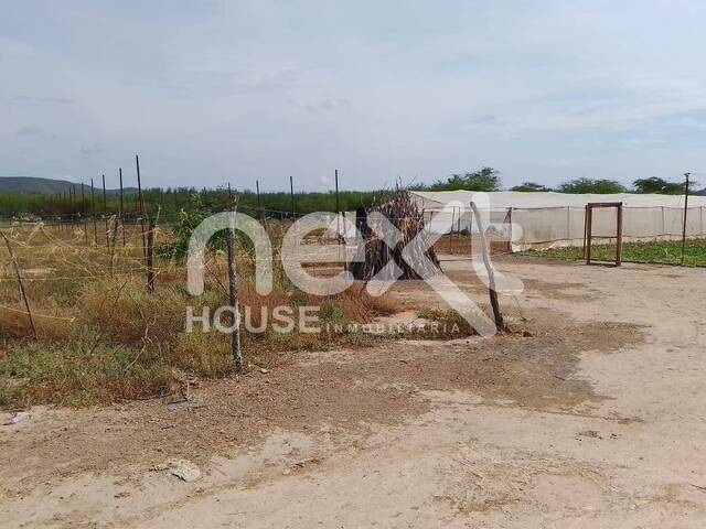 #4838 - GRANJA / FINCA para Venta en Barquisimeto - K