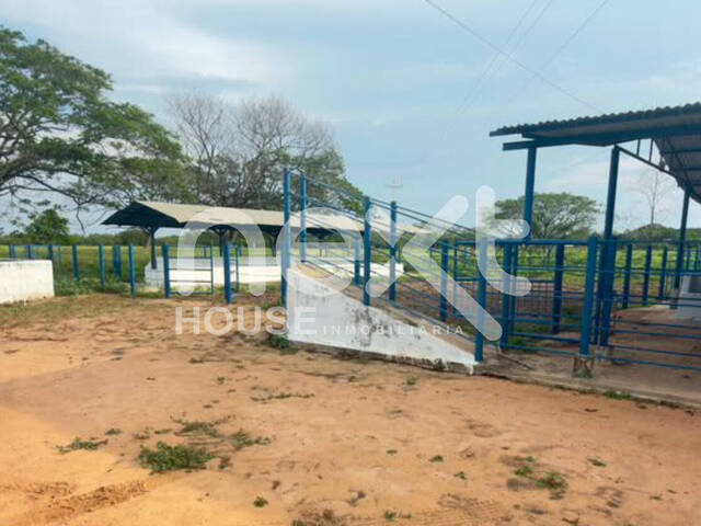 #5051 - GRANJA / FINCA para Venta en San Francisco - V