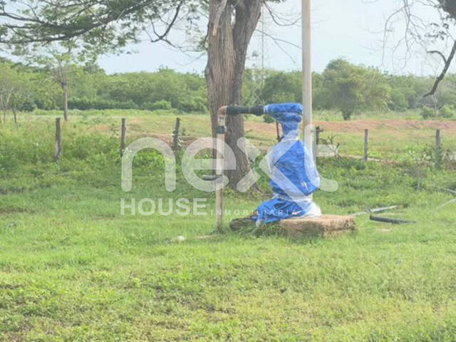 GRANJA / FINCA para Venta en San Francisco - 5